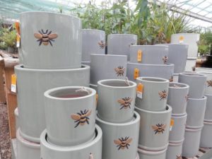 ceramic pots