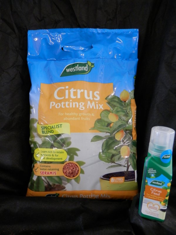 Citrus Potting Mix Compost