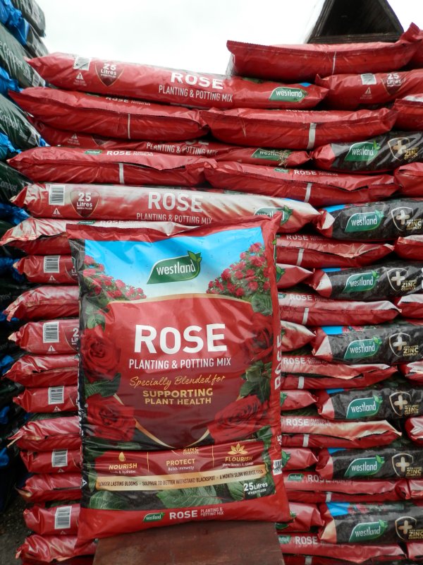 Rose Planting and Potting Compost