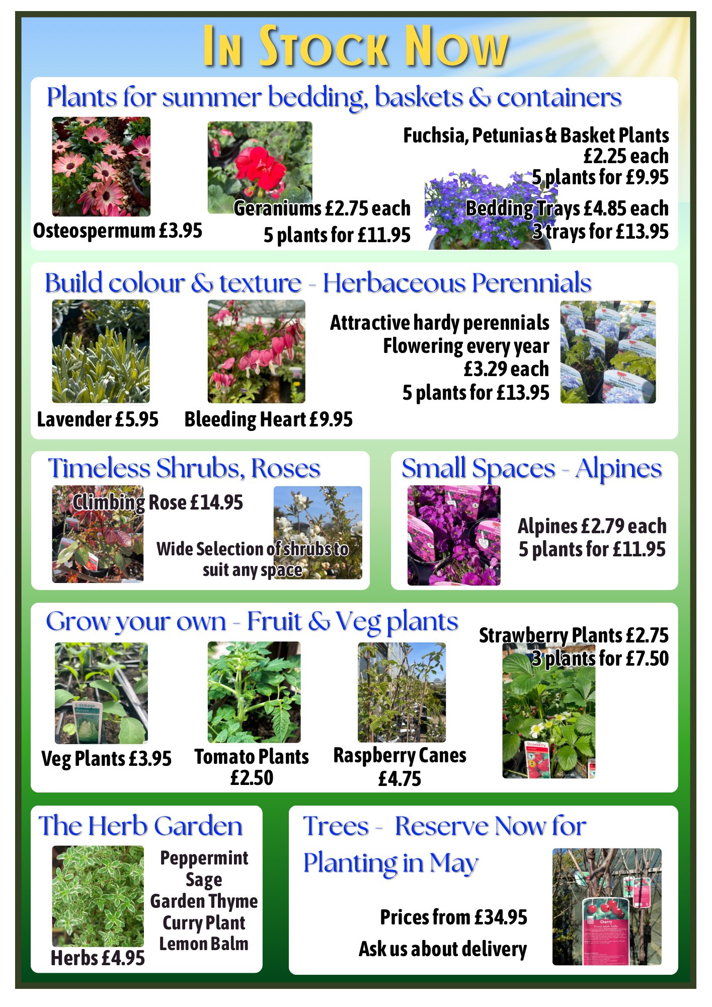 April - Plants In Now