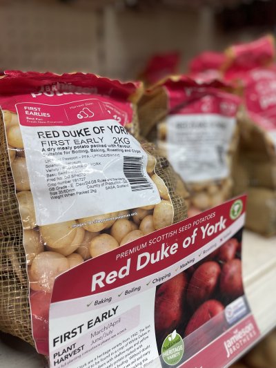 Plant early varieties of seed potatoes like 'Duke of York, with the sprouts facing upwards
