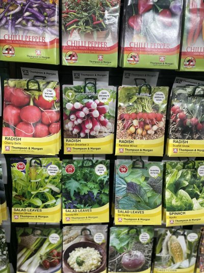 Veg seeds, sow under cover for an early crop