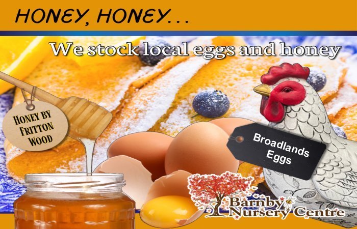 Local Honey and Eggs Local Honey and Eggs