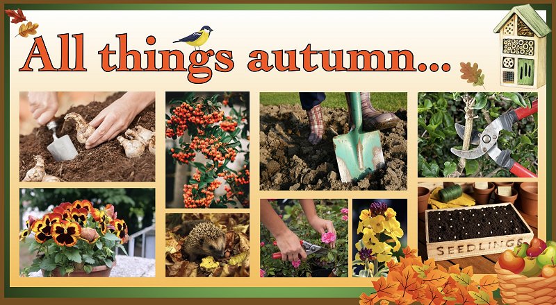 All things Autumn