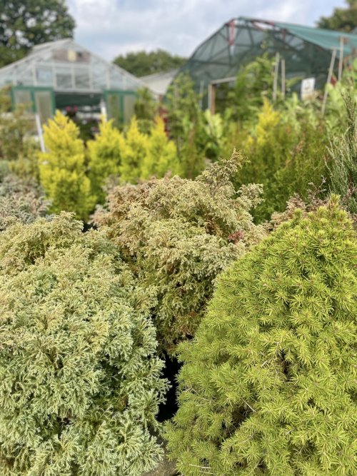 Autumn Gardening
