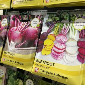 Beetroot seeds