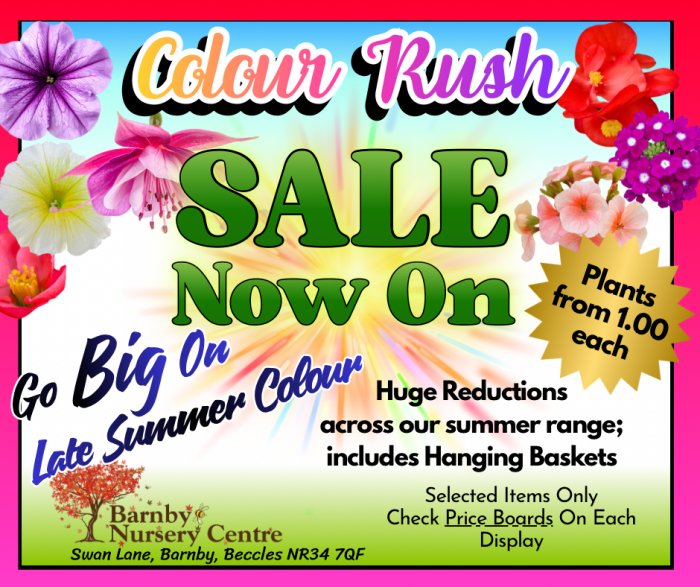 Colour Rush Summer Sale