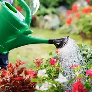 Water Wisely during hosepipe ban
